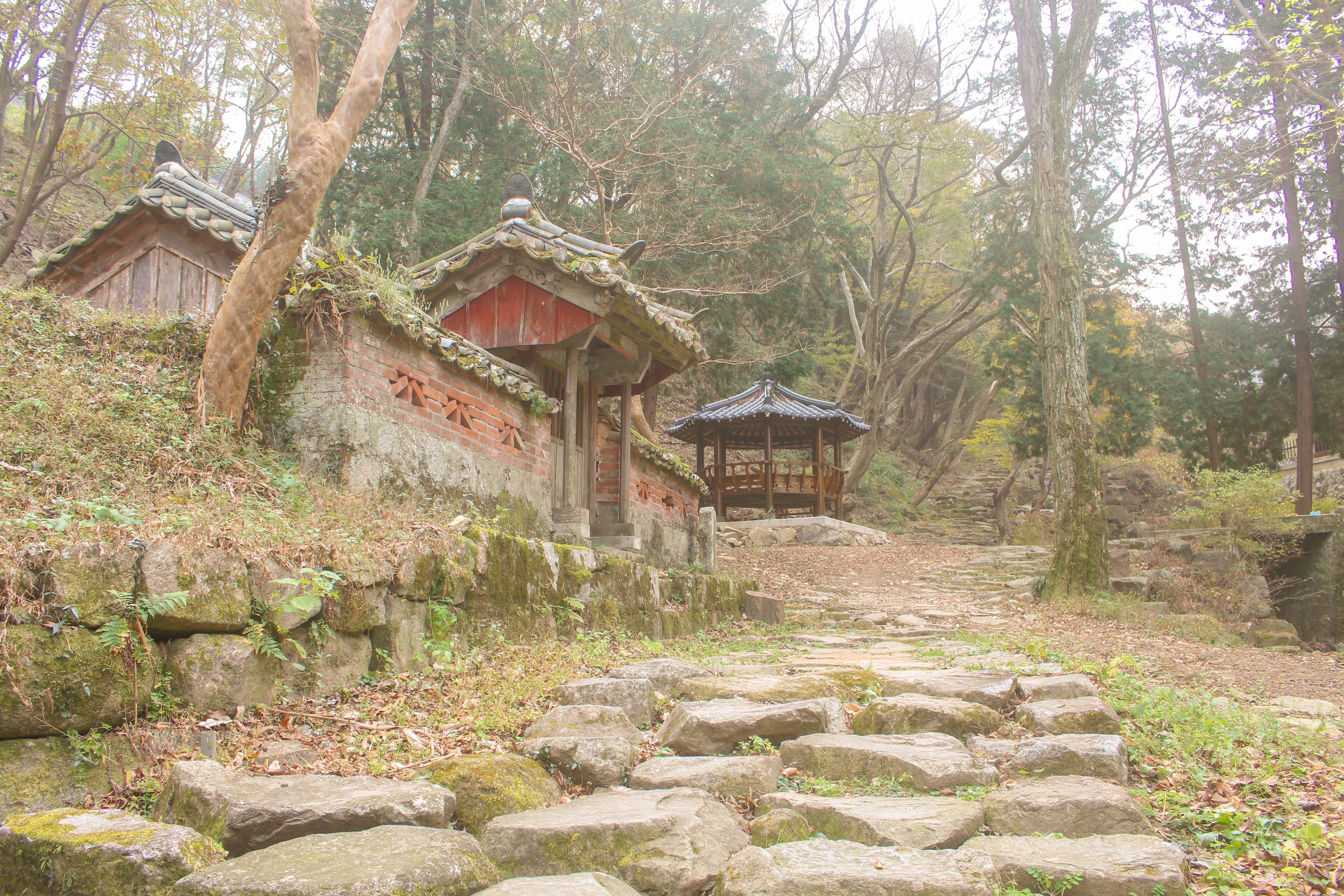 옥천사